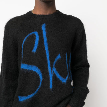 BLUE SKY INN Sweaters Black