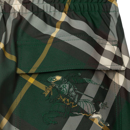 Burberry Trousers Green