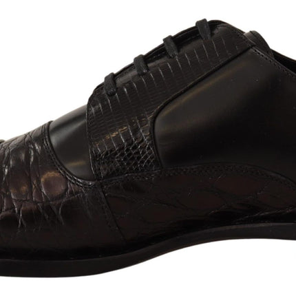 Elegante Derby Black Derby Oxford Wingtips