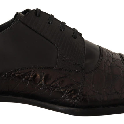 Elegante Derby Black Derby Oxford Wingtips