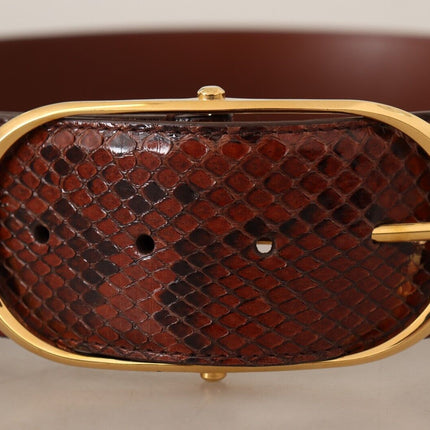 Ceinture en cuir de peau de serpent python élégant