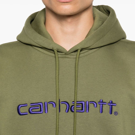 CARHARTT WIP MAIN Sweaters Green