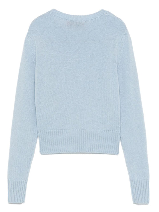 WILD CASHMERE Sweaters Clear Blue