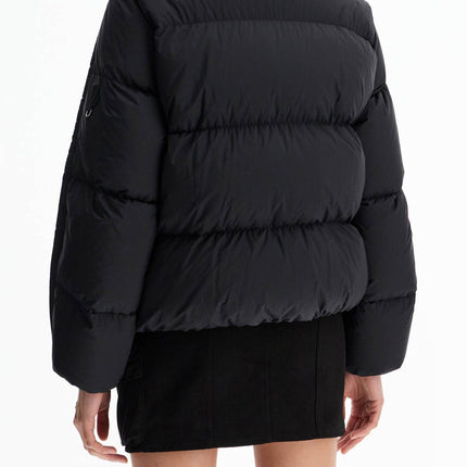 'jayel moncler x willow