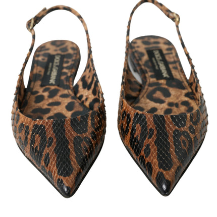 LEOPARDO MARRO LEOPARD PIELA SOLLA COMPRADOS