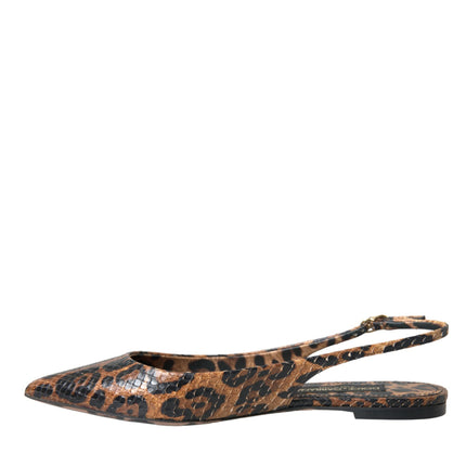 LEOPARDO MARRO LEOPARD PIELA SOLLA COMPRADOS