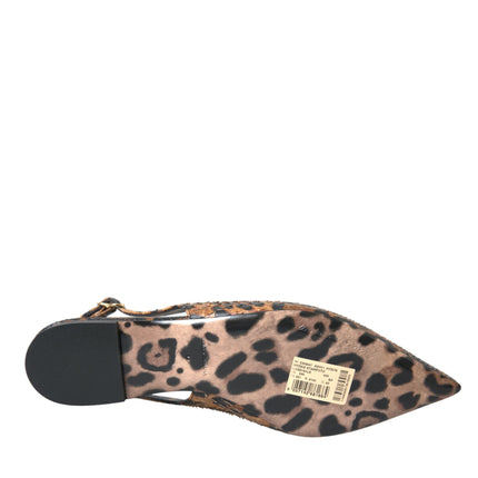 LEOPARDO MARRO LEOPARD PIELA SOLLA COMPRADOS