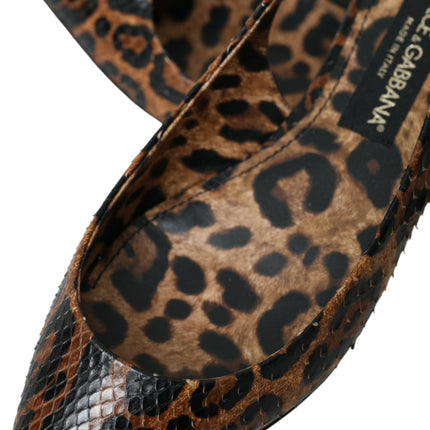 LEOPARDO MARRO LEOPARD PIELA SOLLA COMPRADOS