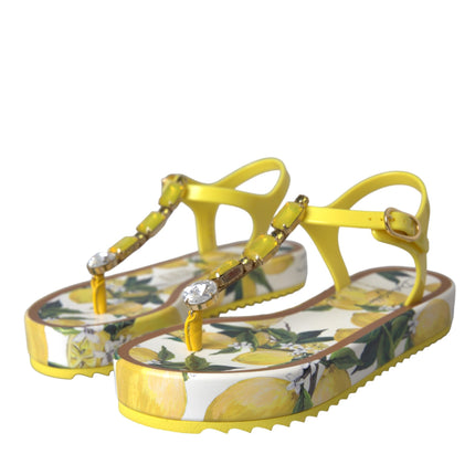 Yellow Lemon Beachwear Flats Sandals Shoes