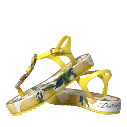 Yellow Lemon Beachwear Flats Sandals Shoes