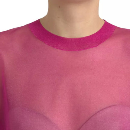 Pink Transparent Crewneck Long Sleeves Top