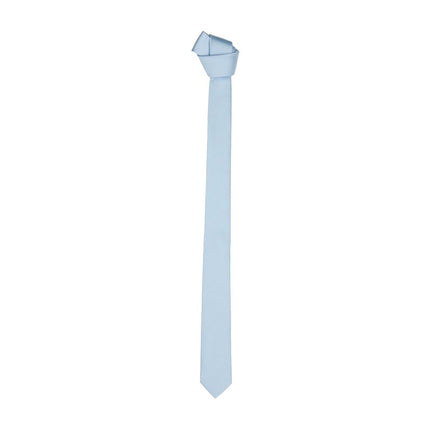 Elegant Silk Sky Blue Men's Slim Tie