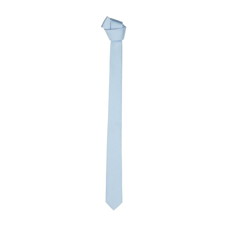 Elegant Silk Sky Blue Men's Slim Tie