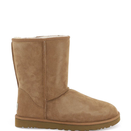 Ugg classic short boots