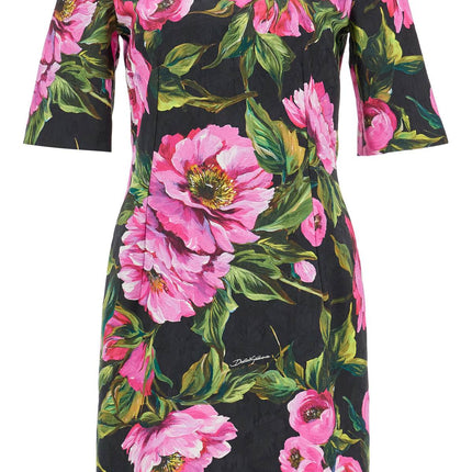 Dolce & Gabbana black floral cotton dress with peonies