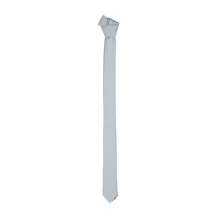 Sleek Silk Slim Tie en gris chic